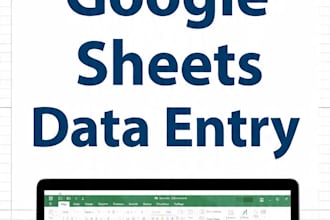 do accurate excel and google sheets data entry work