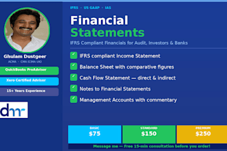 prepare ifrs financial statements and management accounts
