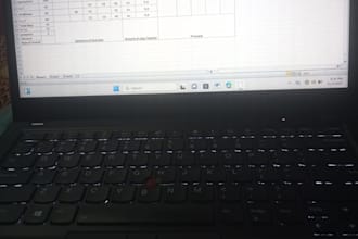do accurate data entry and excel sheet work