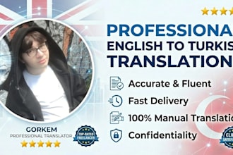provide professional english to turkish translation