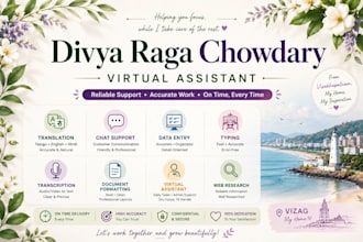 provide virtual assistant,data ent,chat support, translation
