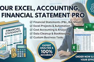 do your excel accounting, financial statements, and bookkeeping tasks
