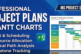 create professional project plans using ms project