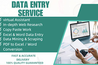 do high quality data entry, web research and copy paste work