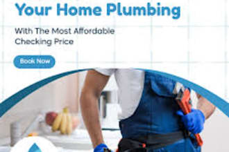 plumbing expert for 24hours