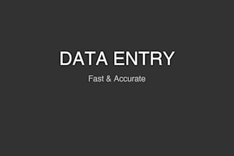 data entry and organize your spreadsheets accurately