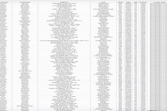 premium first hit prospect data, sweepstak leads, crypto email list, senior lead