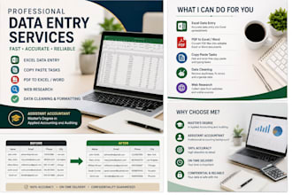 do accurate data entry and excel tasks