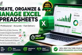 create and organize professional excel spreadsheets