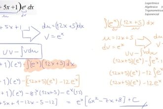 be your expert calculus and algebra tutor for university and business math