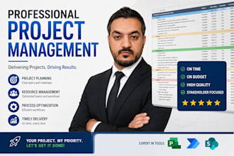 create project plan, schedule, and gantt chart for you