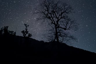 professionally cull and edit your photos in adobe lightroom