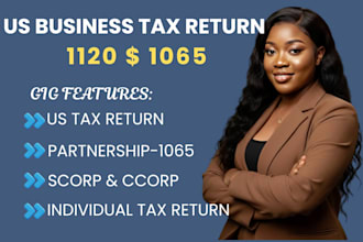 prepare and efile your US business tax return 1120 or 1065 as a CPA