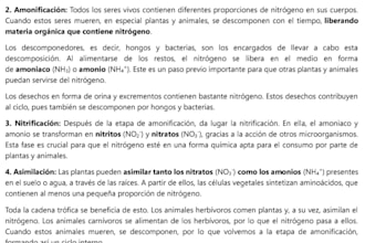 redacción de textos y ensayos
