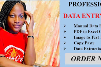 do fast accurate data entry, image to text, PDF to excel