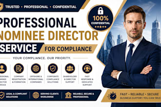 provide professional nominee director service for compliance