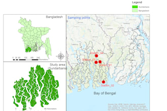 perform professional gis spatial analysis and mapping