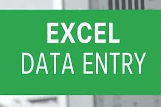 do data entry microsoft excel