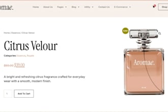 basic website, simple wordpress website, startup website, make website