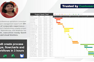 create gantt chart, project schedule and timeline in 3 hours