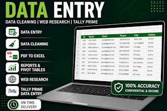 do excel data entry