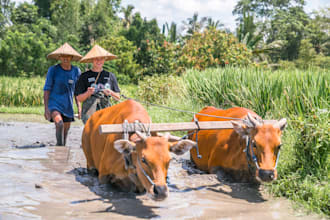 lead tour and taking picture while visiting bali indonesia