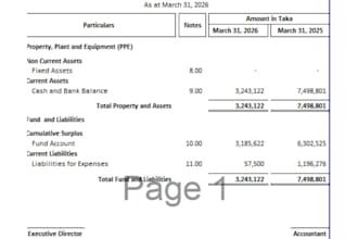 prepare ngo, ingo, project financial statements and donor reports