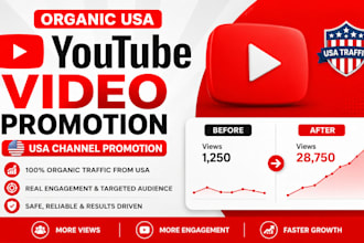 run targeted youtube video promotion in USA