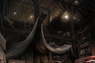 draw a fantasy character art and fantasy illustration