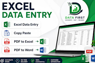 excel data entry, copy paste 2 PDF conversion expert
