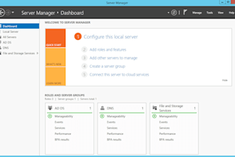 set up esxi, windows server, and domain controller