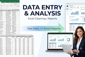 do data analysis, excel reports, dashboards and data entry