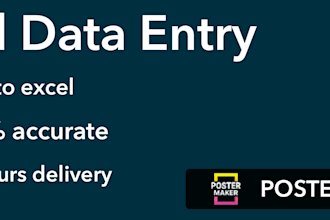 do accurate data entry,excel