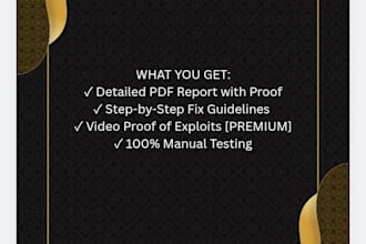 do manual website security audit in 24 hours with video proof
