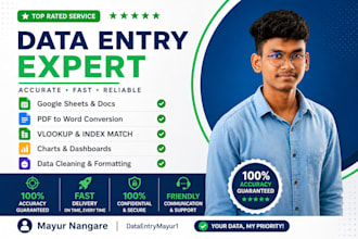 do accurate data entry, copy typing and pdf to word conversion