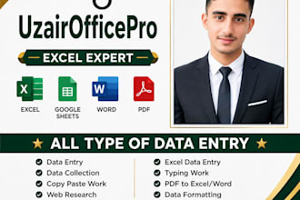 do data entry, ms word, excel and apower point work professionally