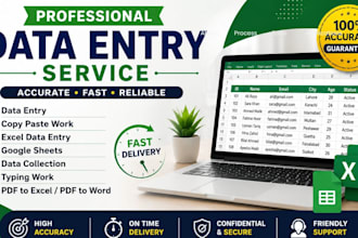 do data entry, copy paste, excel data entry and google sheets work