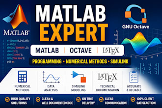 do matlab programming, numerical methods, octave and latex projects