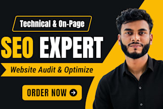 do onpage and technical seo for google ranking, complete website audit, fixation