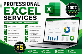 do accurate excel data entry, data cleaning, formatting and spreadsheet work