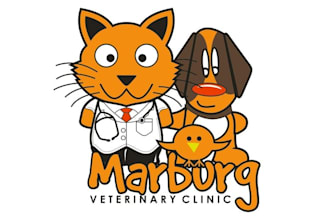 design consulting vibrant veterinary clinic logo