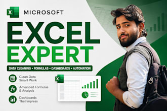 do microsoft excel data cleaning, formulas, dashboards and automation