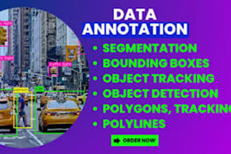 do professional ai data annotation and data labeling