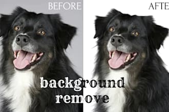 professional background removal, image cutout service