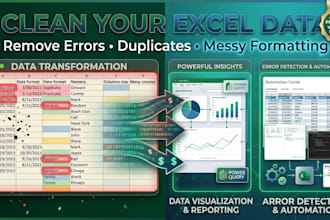 clean, format and organize your excel data professionally