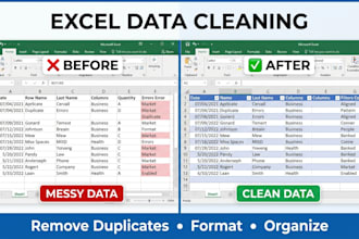 clean, format, organize and remove duplicates from excel or CSV data