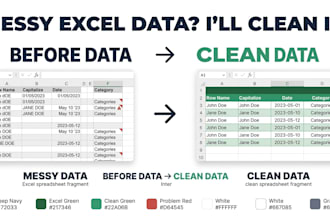 clean and organize your excel data professionally