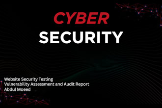 perform website security testing and audit report