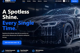 make you a high quality website in two days
