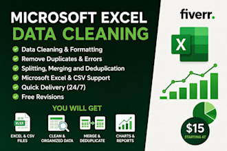 do excel data cleaning and formatting, excel data analysis